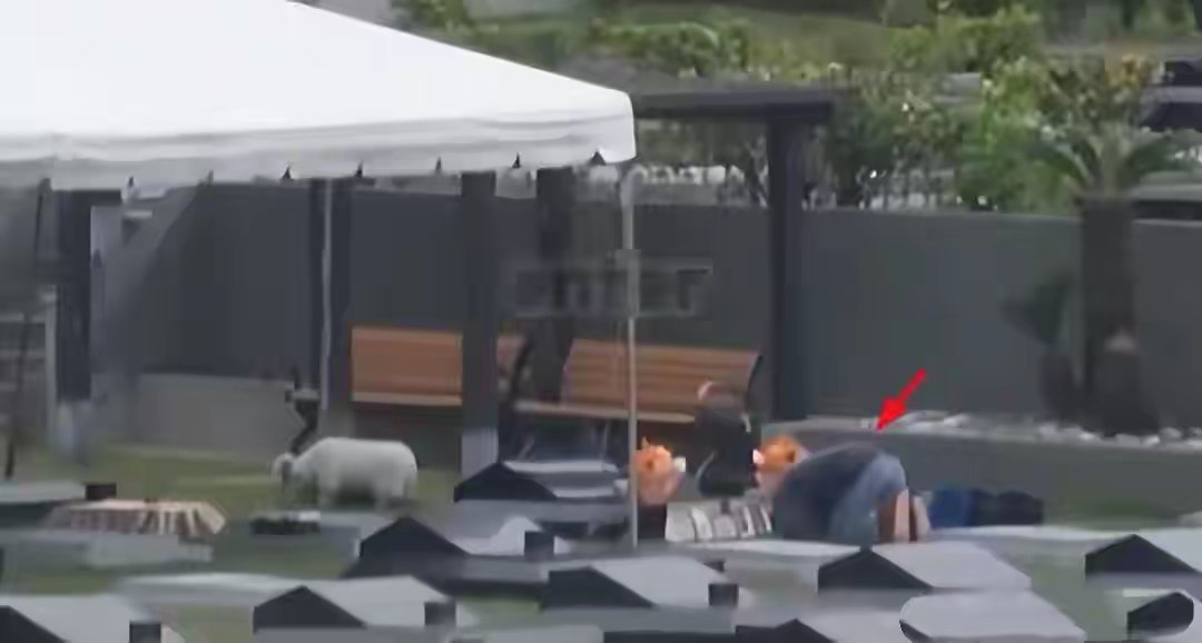 大S雕像即将揭幕，具俊晔对墓地磕头画面流出，又没通知玥儿姐弟吗？ 