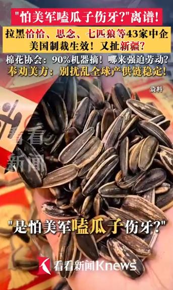 瓜子汤圆皮带也“躺枪”？美国这波制裁，葫芦里卖的什么药
你敢信吗？嗑着瓜子追综艺