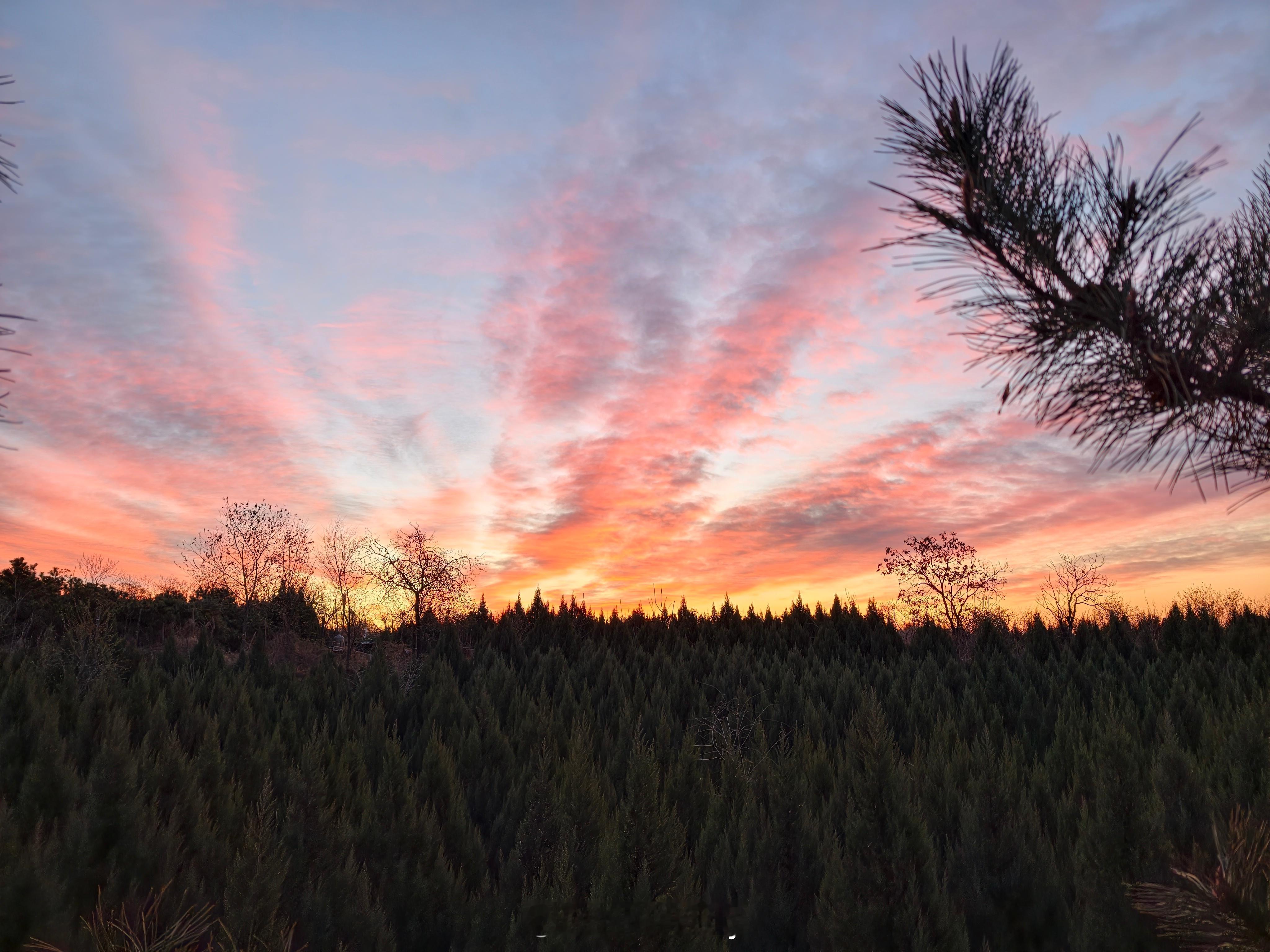 早早早，来看朝霞。 