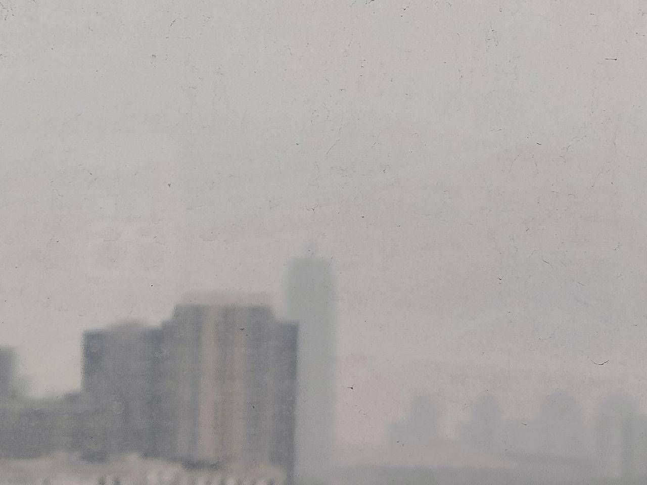 雾霾中的秋晨

早生雾霾看不远，玉米楼望显朦胧
近处空中有鸟飞，来来回回不消停