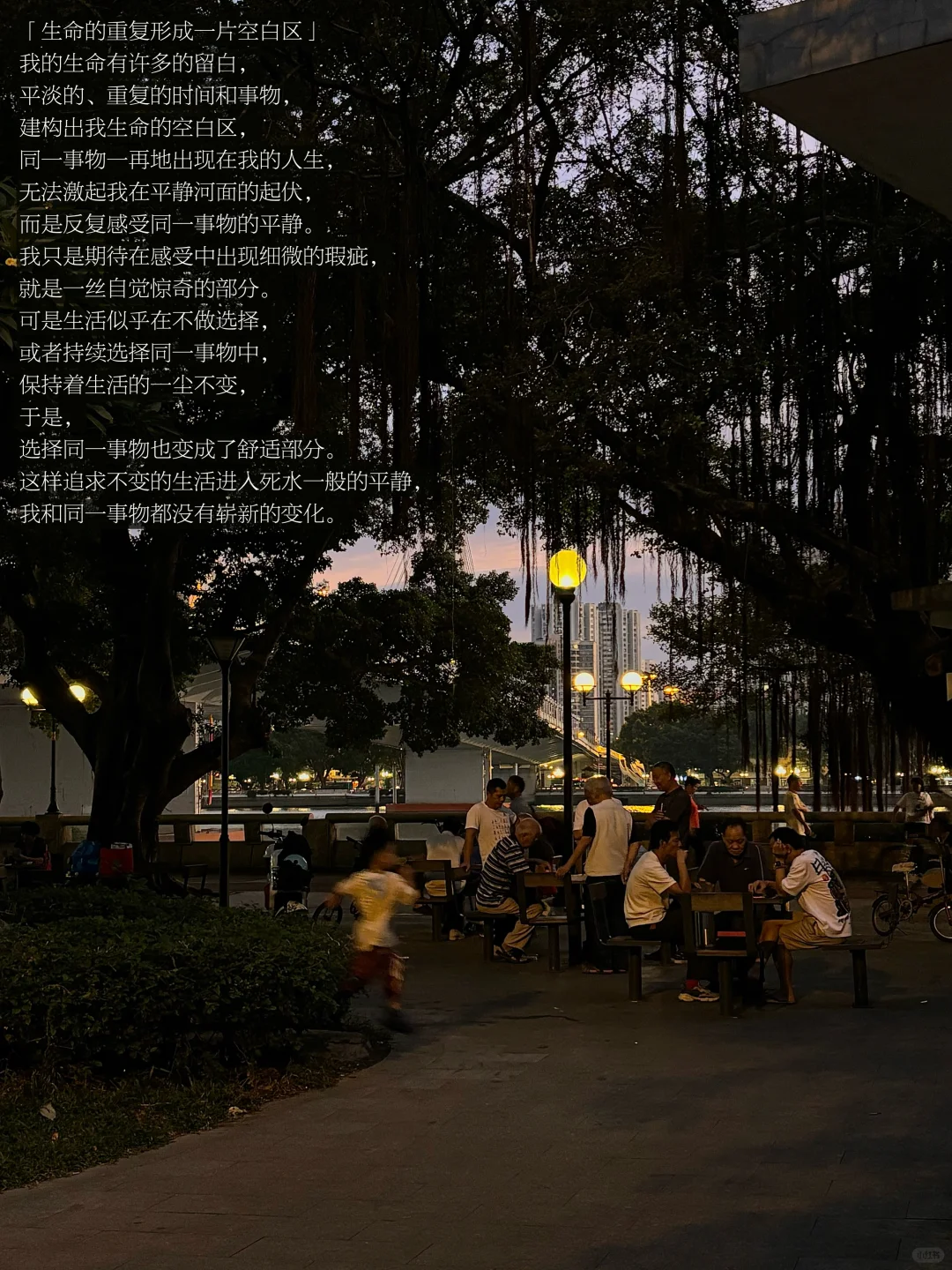 我的生命在经历一场短暂的冬眠。