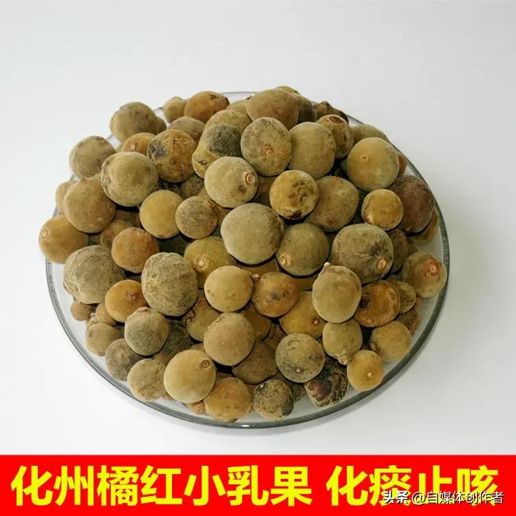 最近岭南佳果化橘红彻底火了，两会现场的润喉体验让这颗小小果子成了养生界的新晋热门