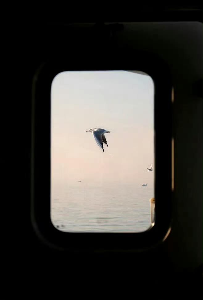 我发现一个玄学验证！
玄学中讲突然想起来要做以前很少且反常的事情，或者很久不联系