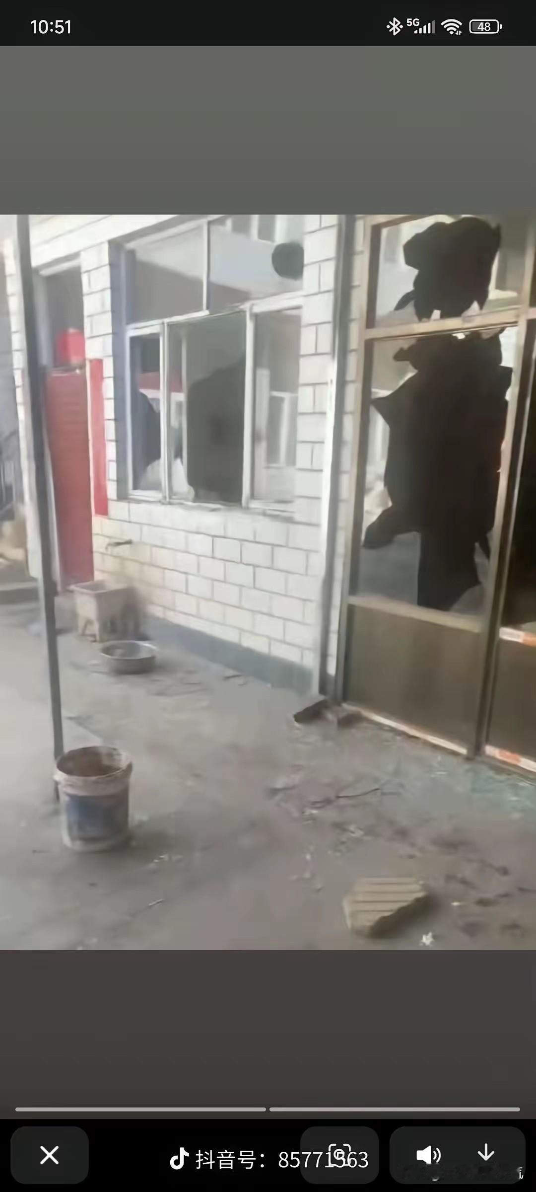 这起因打死狗而引发的血案，为什么申家要用外地的律师而不是在本地找个律师？这是一个