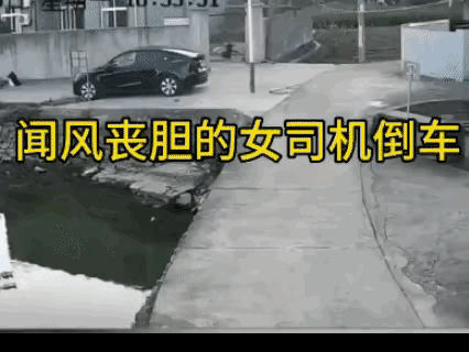 女司机实在是地球上奇葩生物….
令人闻风丧胆！
高颜值女司机 硬气女司机 大姐女