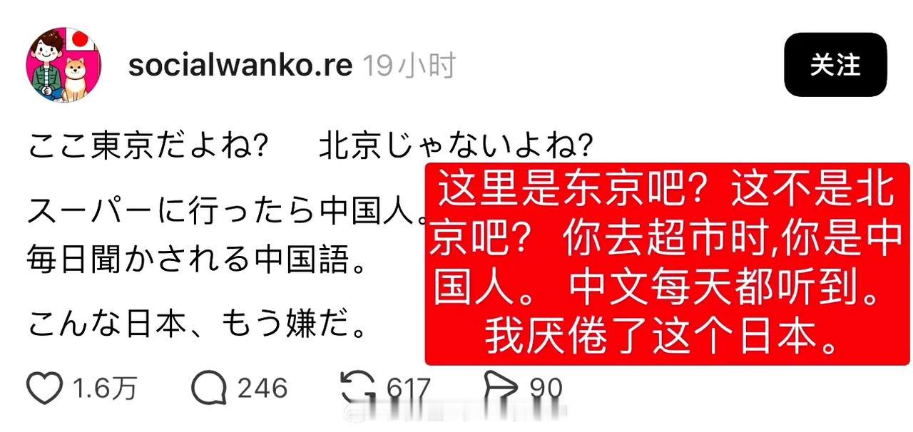 日本人发贴说厌倦了日本，因为日本到处都是中国人