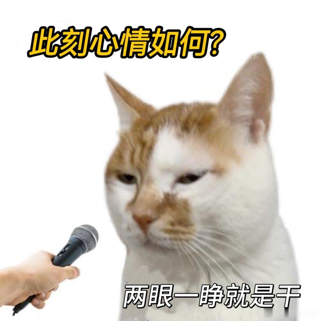 当聊天记录歌声响进悬案和世界杯当球迷剧粉的碎碎念变成歌这个暑假幸福感爆棚，一边沉