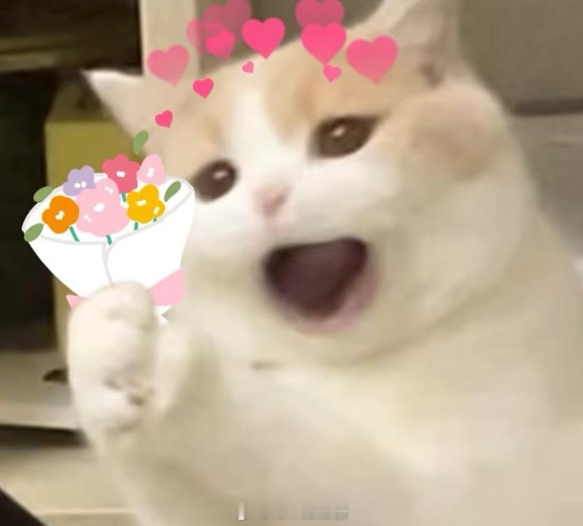 当年的老己在QQ给老自留了笔巨款这个感觉就像洗衣服突然在衣服兜里翻出来现金一样