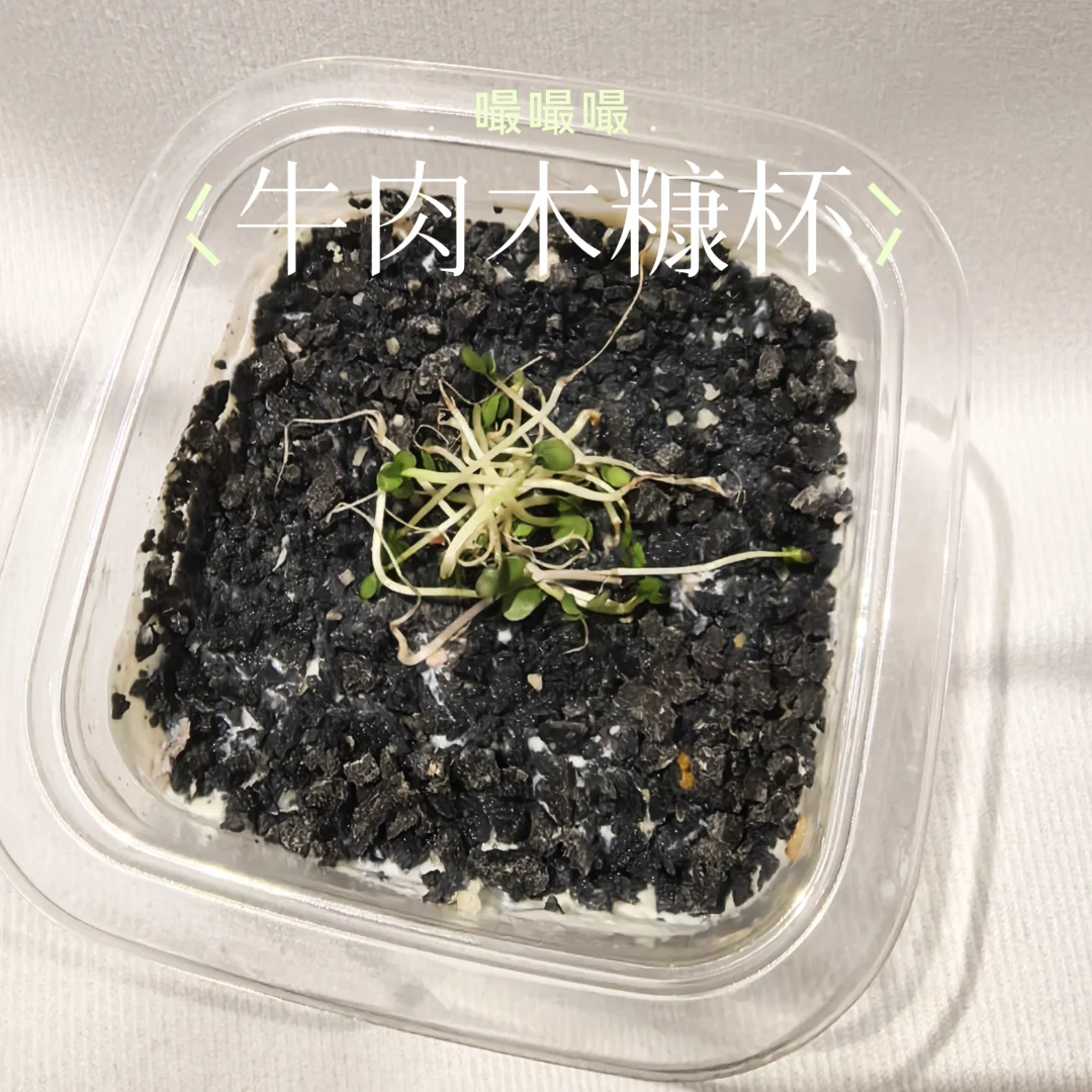 圣诞节🎄给狗子的专属仪式感