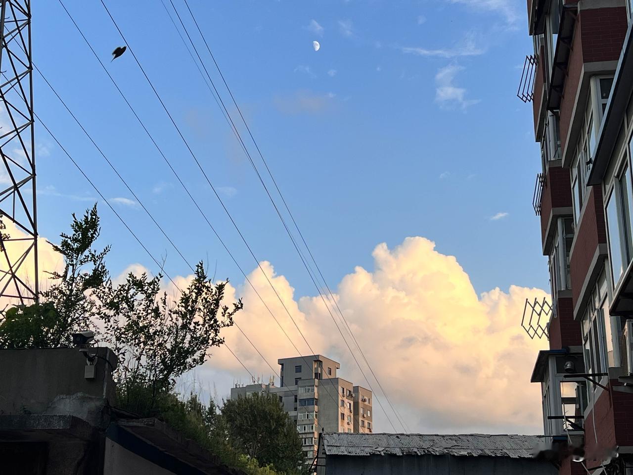 关于夏天的文案,都不及这一刻的蓝天白云。