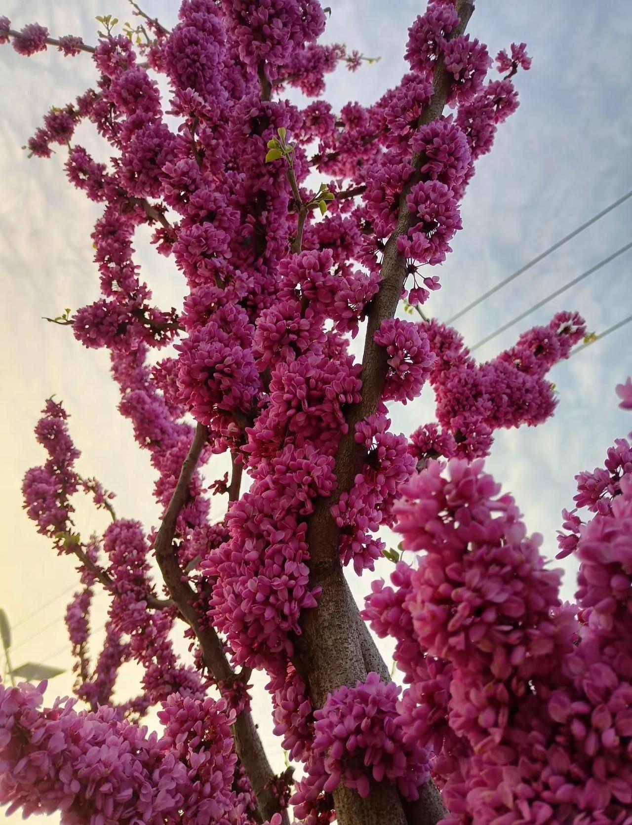 我骄傲的是，即使被阴暗的人和事坑过 ，我依然没有想过要成为他们那样的人， 我只会