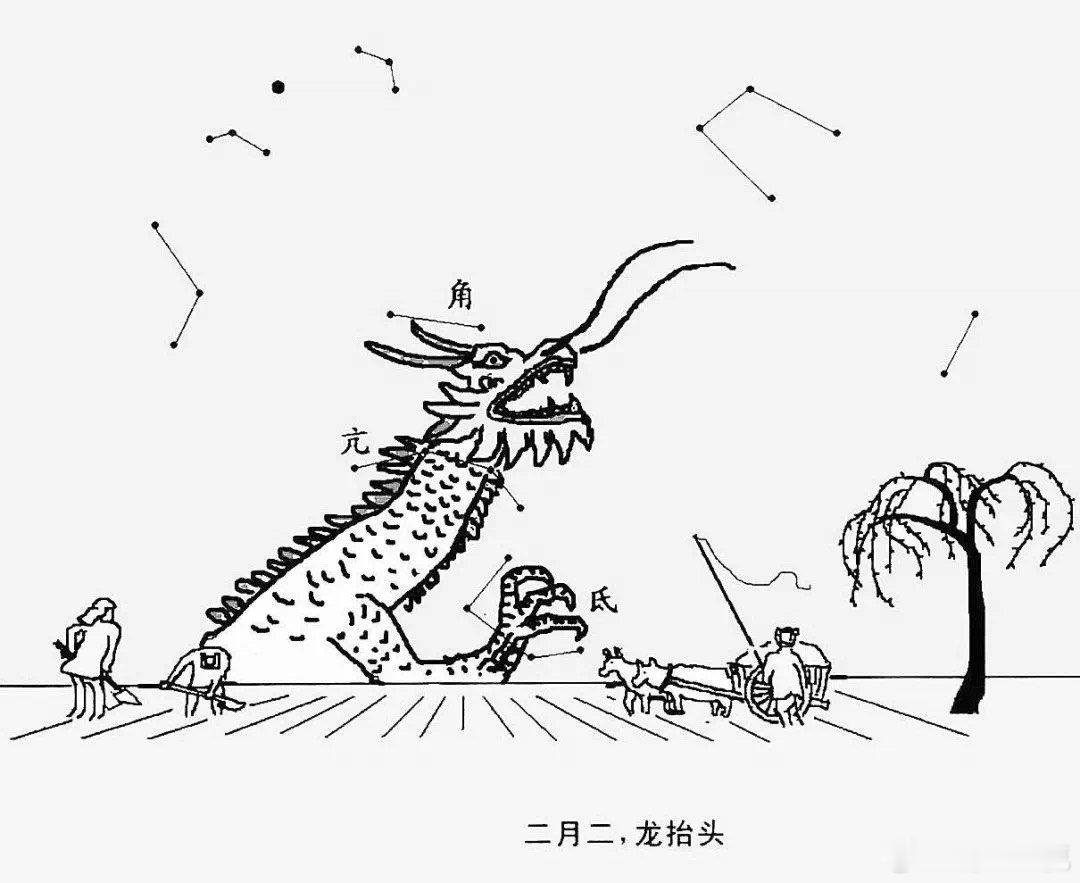 二月二260人抬99米巨龙接好运   二月二的确是充满了仪式感的一个日子了呀，并