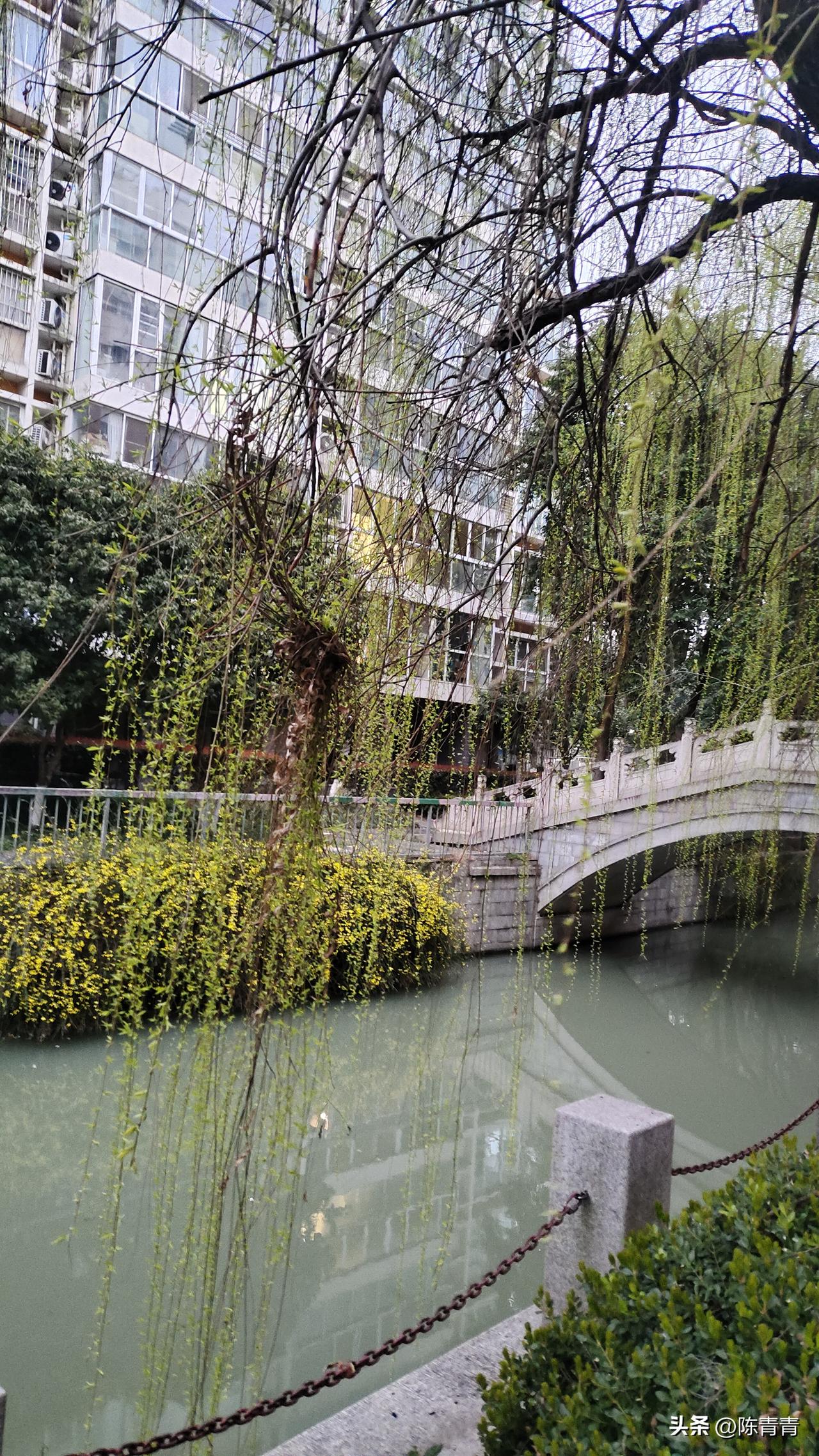 现在的小区规划的非常漂亮，生活在这里，就像生活在公园里。赶上好时代，你说现在的人