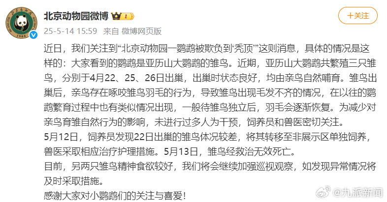 #北京动物园通报鹦鹉被欺负到秃顶#【#北京动物园鹦鹉雏鸟救治无效死亡#】5月14