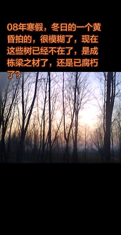 过往不堪回首。此图片08年冬天，皖北的一个黄昏拍摄的，拍摄人是一名大学...