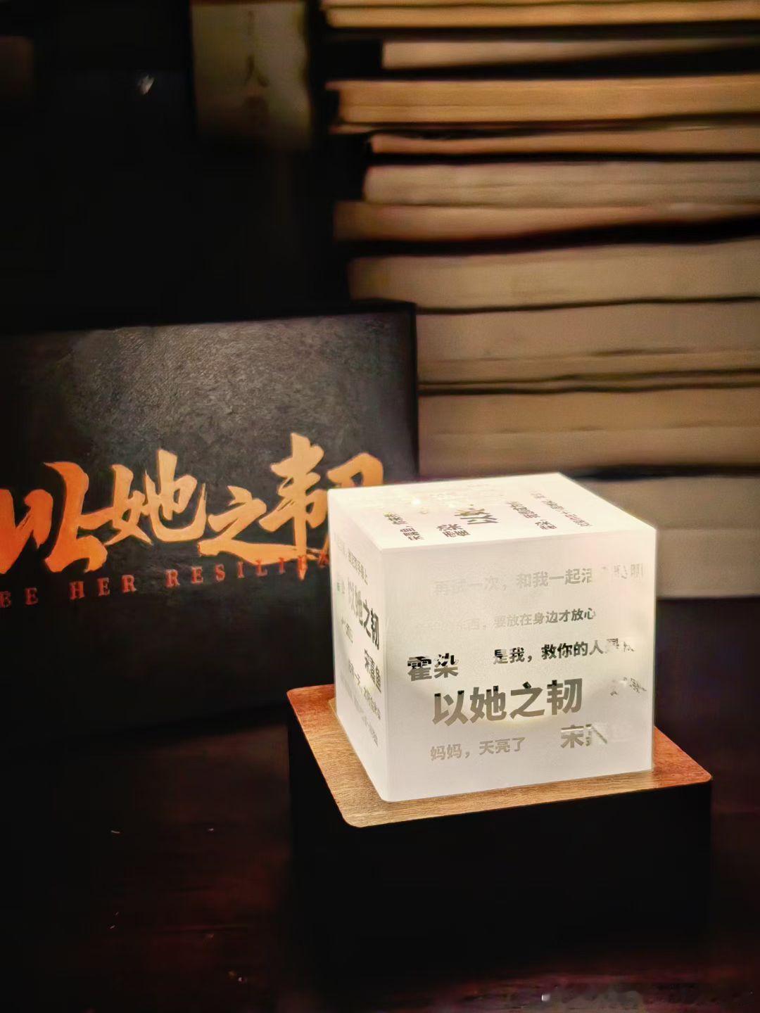 《以她之韧》这个剧本集内容重点都是俩女主，而且夜灯是真的很好看～ 就这才售价才1