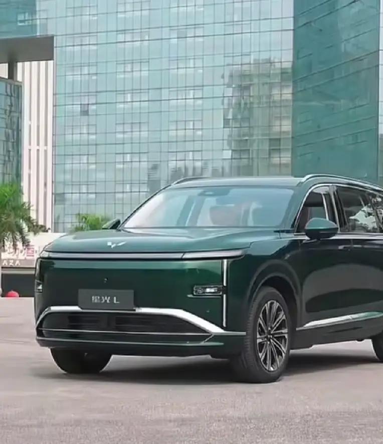 进入世界500强的中国车企：
1. 比  亚  迪：第91位
2. 上汽集团：第