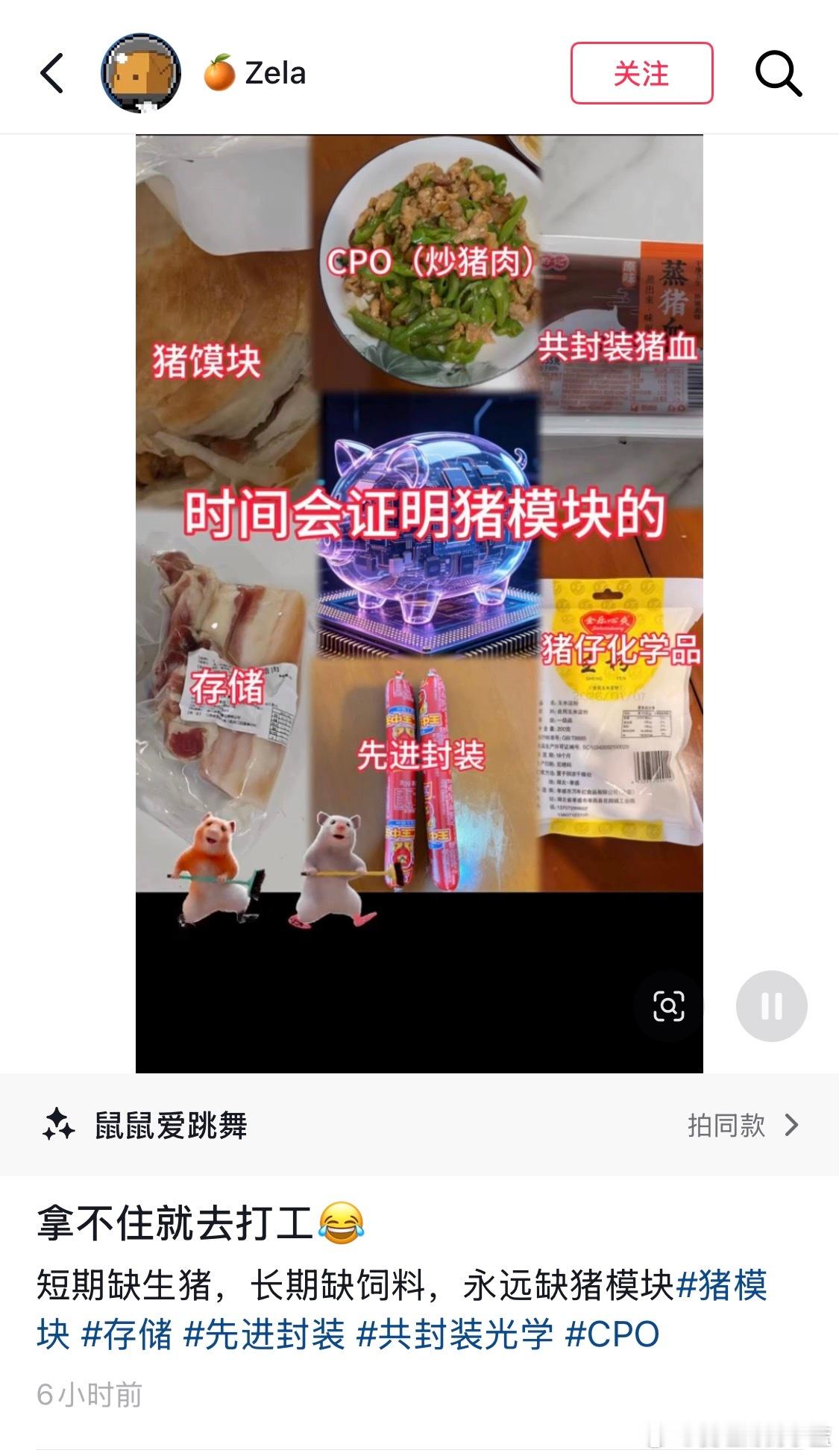 短期缺生猪，长期缺饲料，永远缺猪模块。仅仅一个周末全网就这种画风了… 