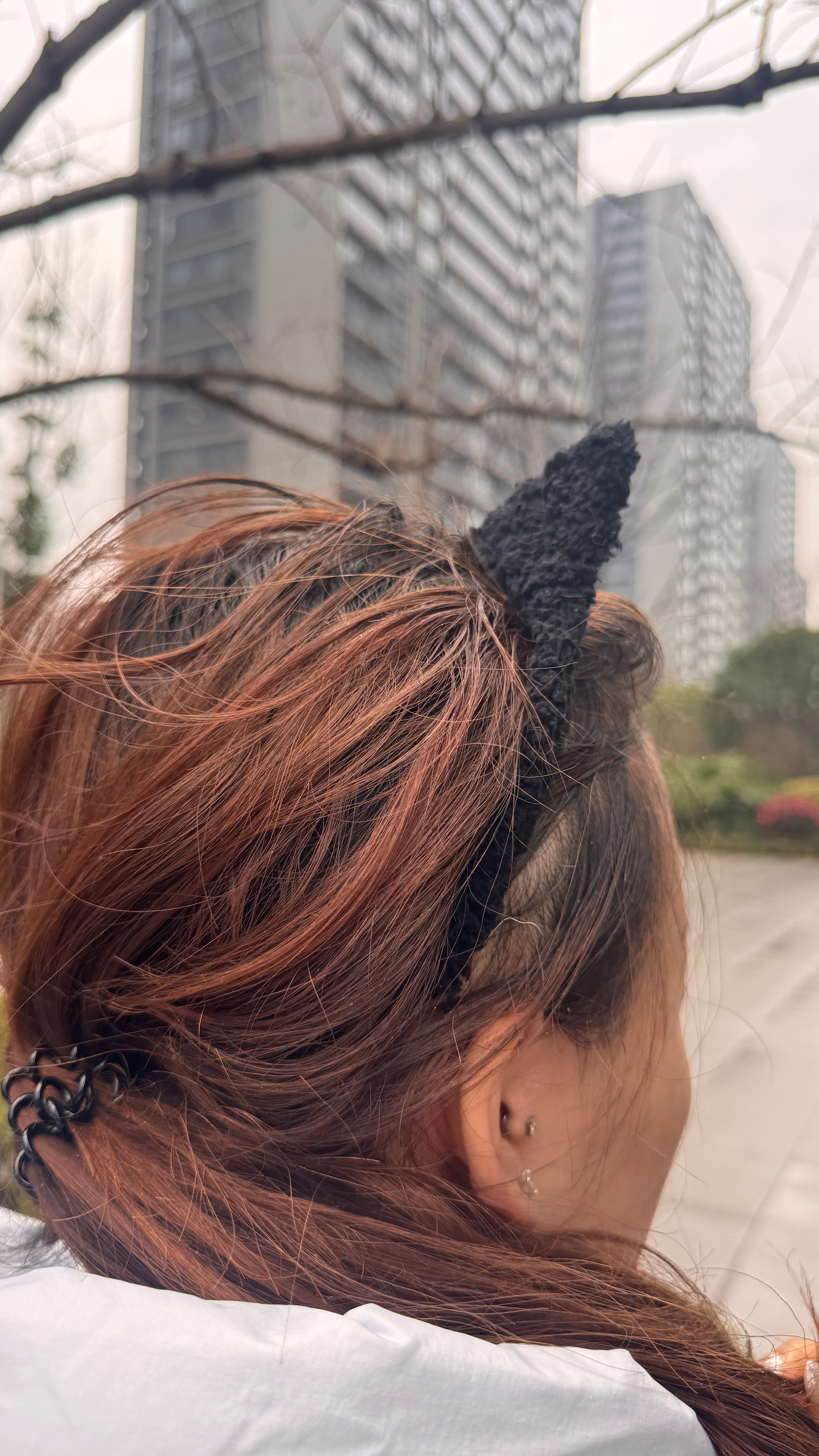 有点油腻的小猫咪～ 