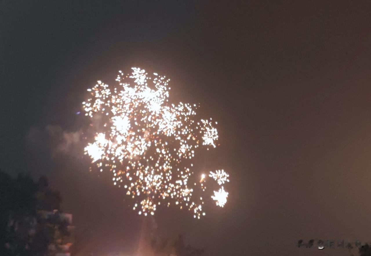 在烟花下，祝我们今年如愿以偿。
分享一张你最近随拍的照片 用一句话分享今日感悟 