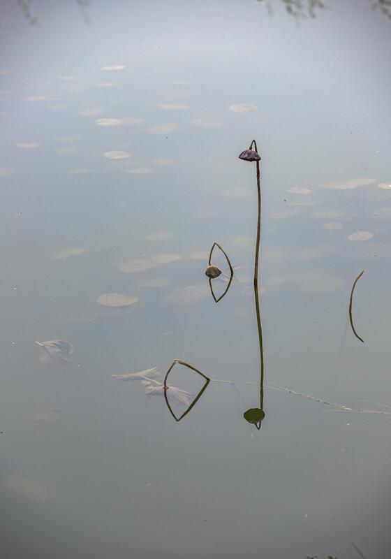 上联：孤灯照夜思卿切；
下联：杯盏对月恋旧深。
