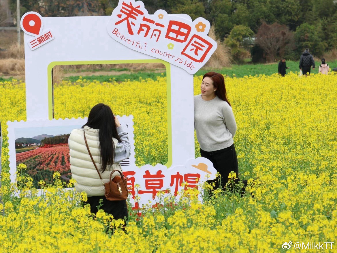 百亩油菜花海让台州这个村开出共富花天台三新村百亩油菜花盛开，以赏花经济促农文旅融