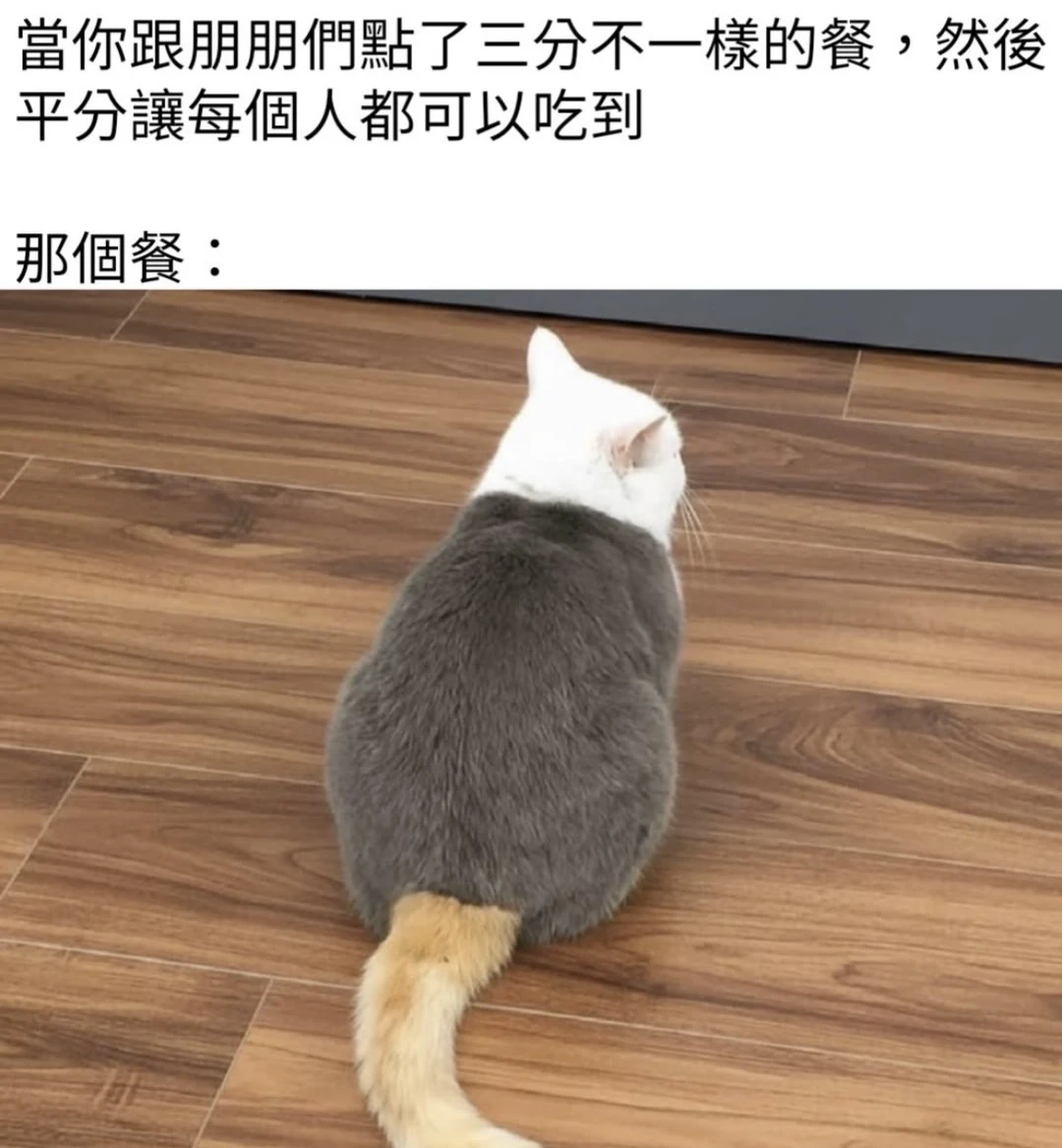 🍒搞笑梗图时刻