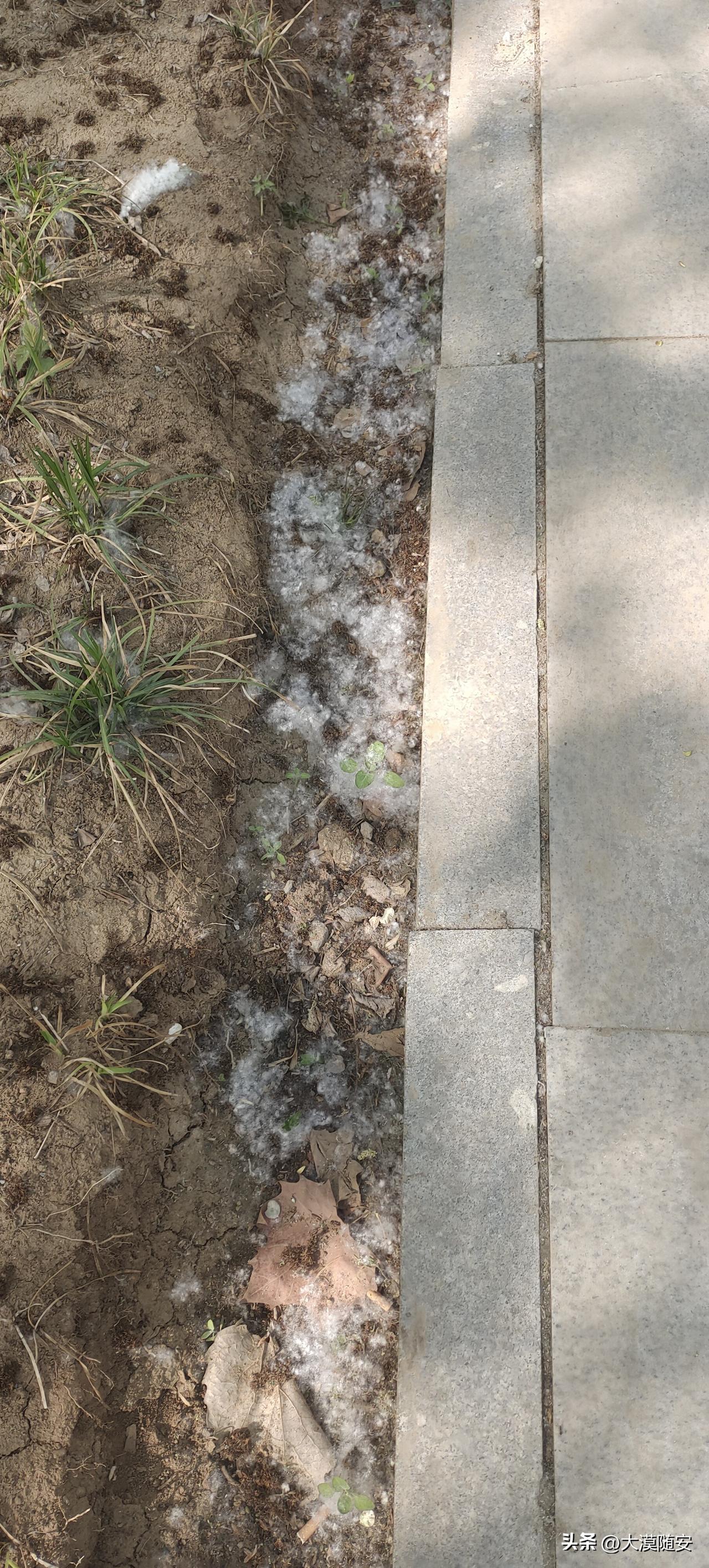 讨厌的“雪花”来了！