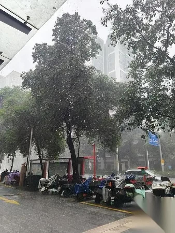 刚跟老公吵完架。

气的我手都发麻。

就因为他转了句婆婆的原话。

婆婆说我自