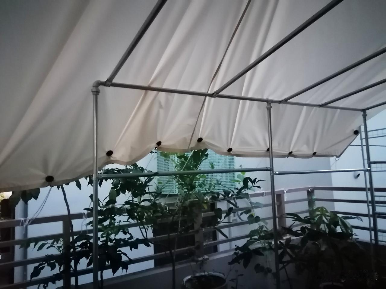刚刚我把到货的夹子都绷在遮阳棚边缘了，不知道这回可以解决棚顶兜水问题不？

反正