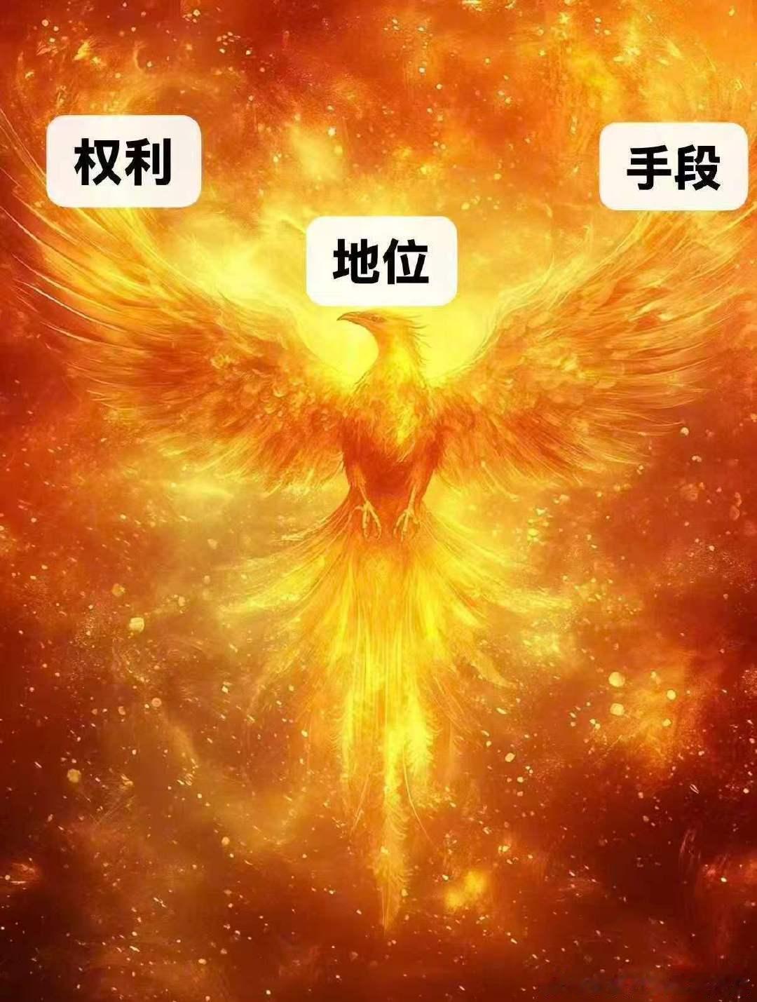 孟子义沈汐和权利地位手段命里都有孟子义这些沈汐和命里都有 燥候这个《百花杀》！ 