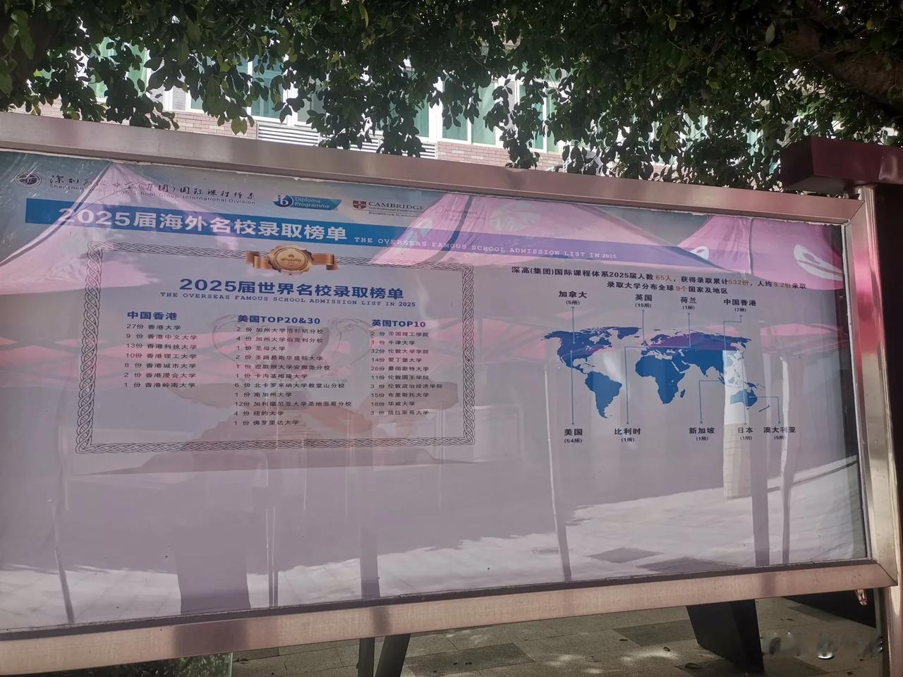 打卡深高级国际部，宣传的非常好