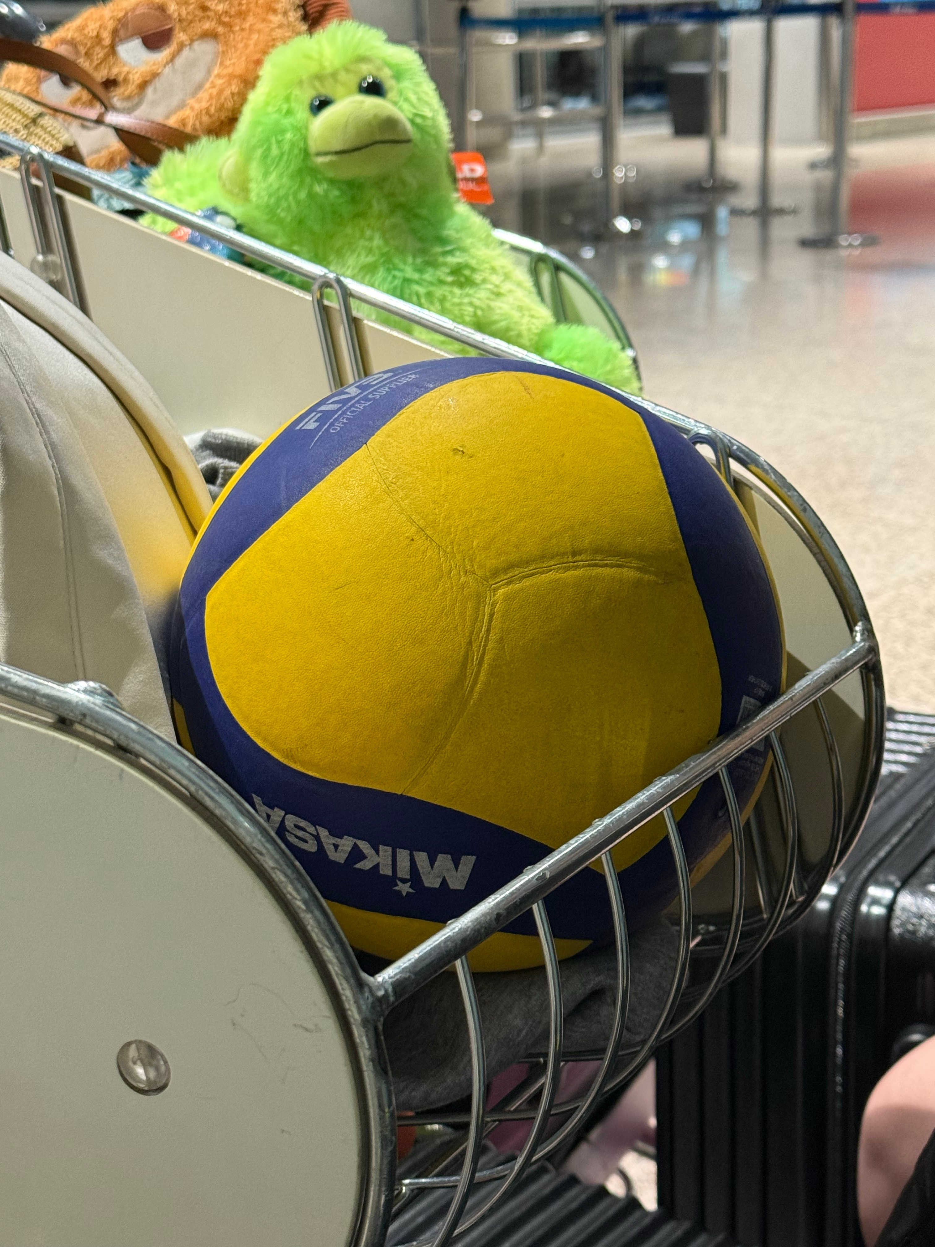 VOLLEYBALL🏐  ​​​
