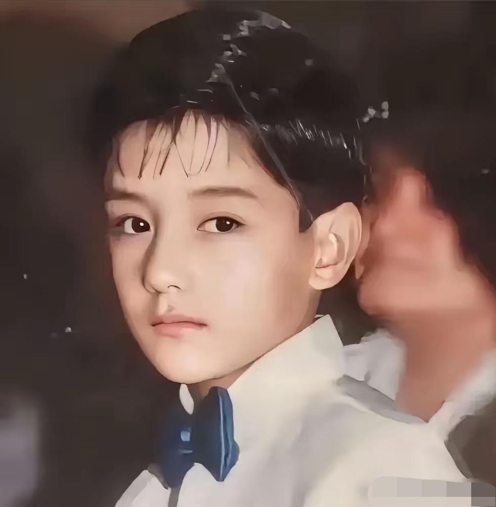 这位眉清目秀，骨相俊朗的小男孩，长大后成为一代美男子 演员，火遍大江南北  ，他