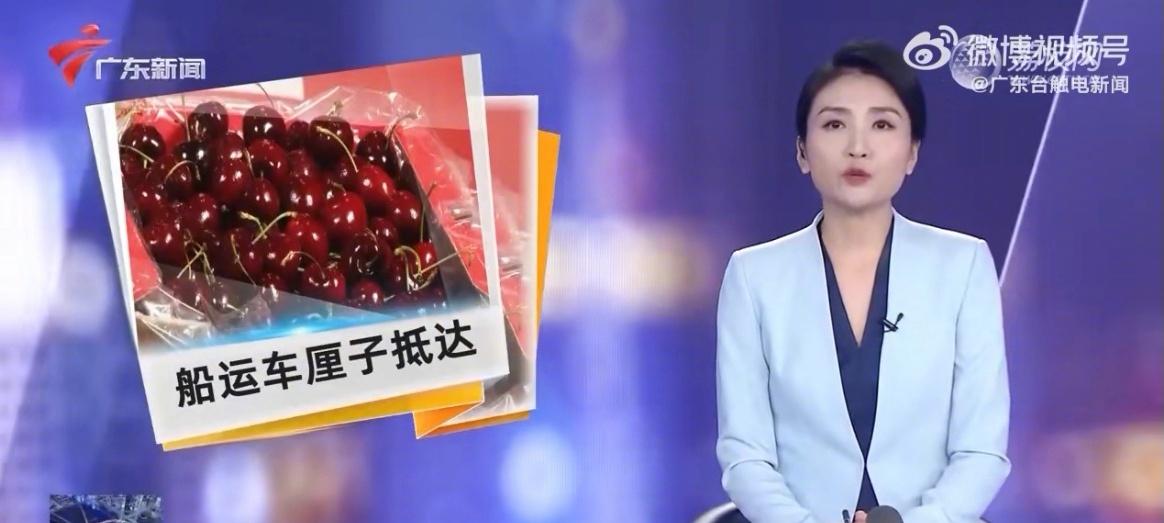 智利车厘子勾住幸福红 智利车厘子的“应季”，对于中国市场来说是“反季”。对于车厘