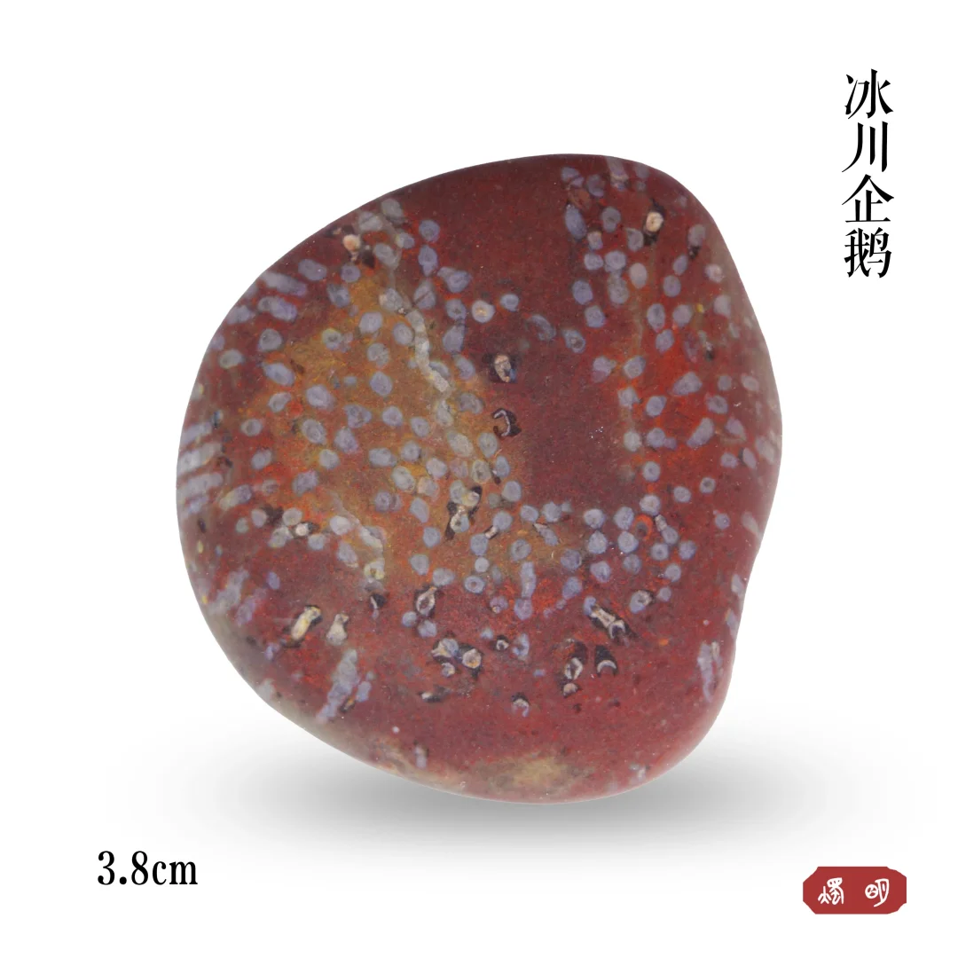 奇特的一颗雨花石