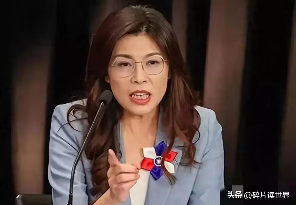 郑丽文对外摊牌！国民党两岸路线:不模糊、不交易、不妥协！
就在昨日（23日），针