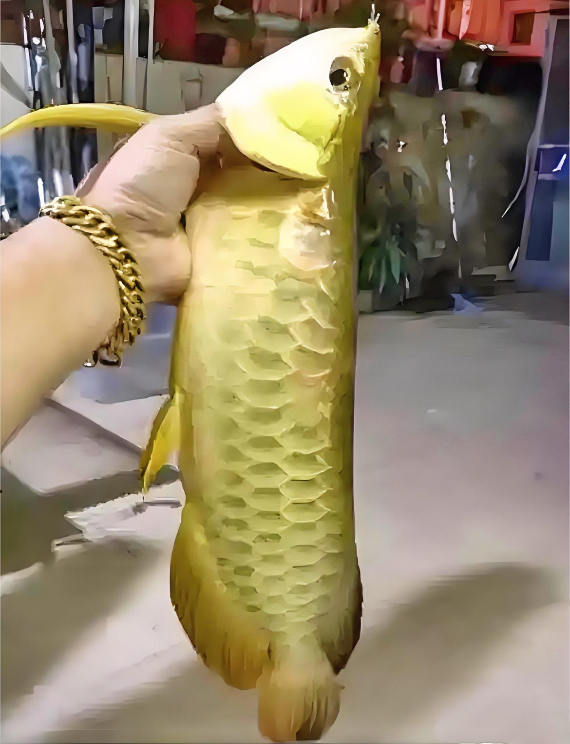 浙江丽水，一位富婆养了四年的金龙鱼突然死了。

她舍不得扔，咬牙下锅炖熟，可当香