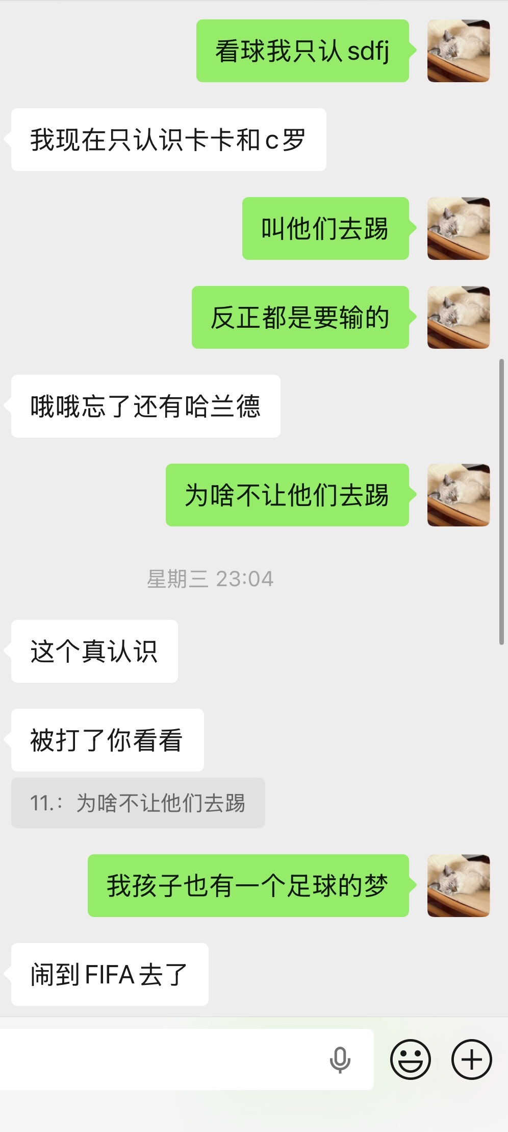 截我博且不懂我幽默的真的该鼠了！再闹一则，小四四去踢世界杯belike： 