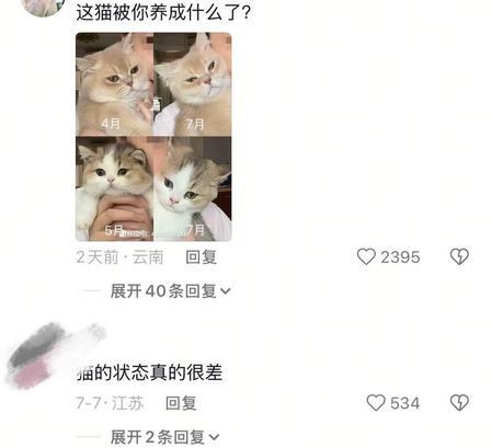帮帮妈妈（邦邦、巾巾）事件完整梳理：不属于主动暴力虐待，但存在严重失职、流量至上