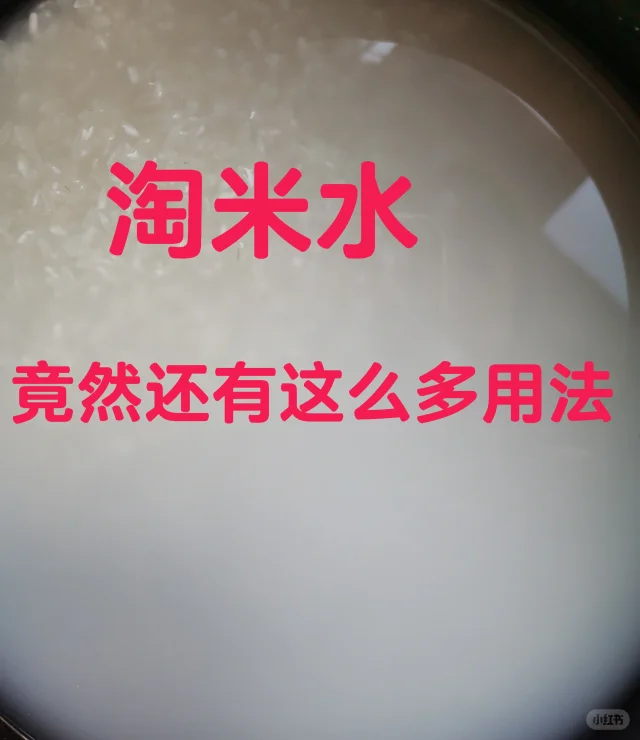 淘米水，竟然还有这么多用法