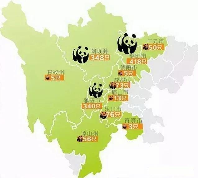 提到大熊猫，你脑海中浮现的或许是成都熊猫基地里慵懒卖萌的“花花”，或是陕西秦岭深