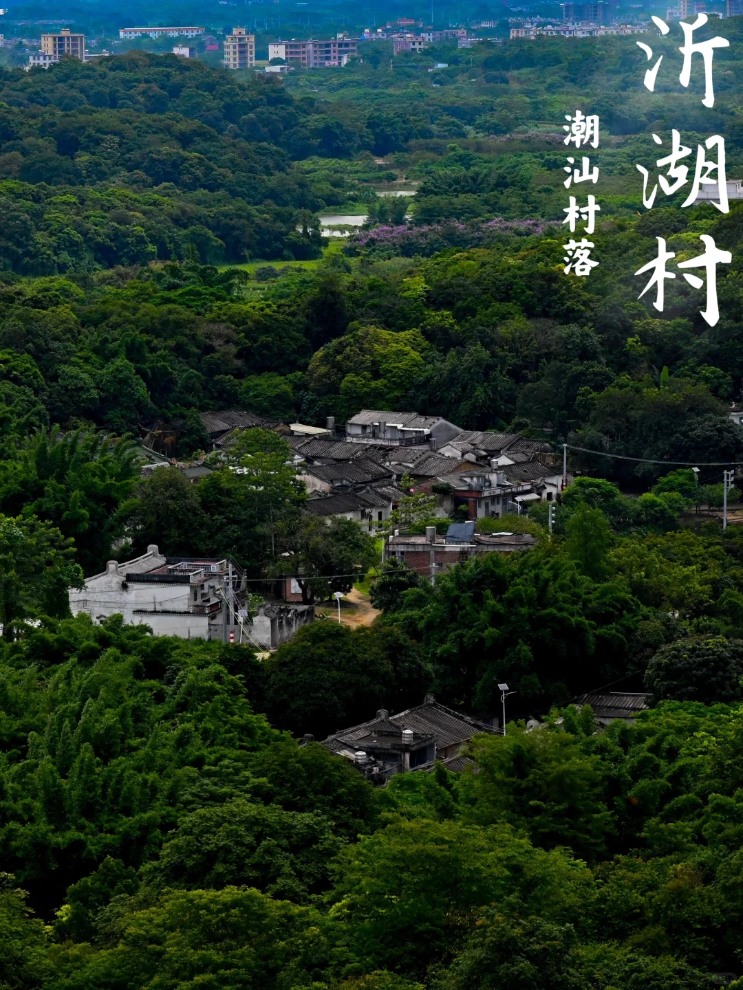 普宁乡行录219｜沂湖村