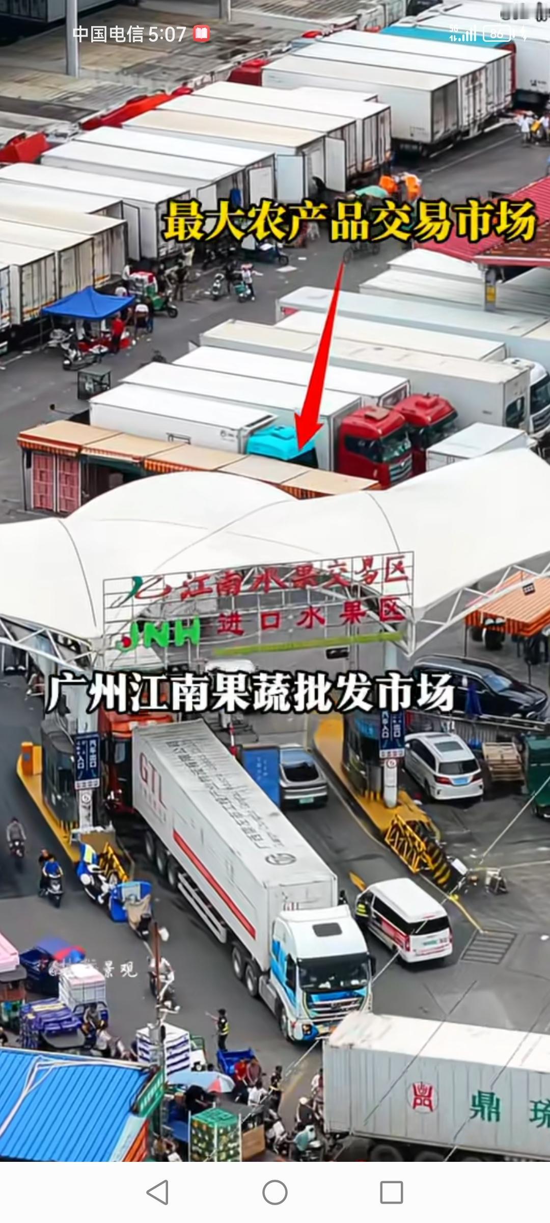 广州江南果蔬批发市场不愧是中国最大的农产品交易市场，每小时果蔬交易量高达300多