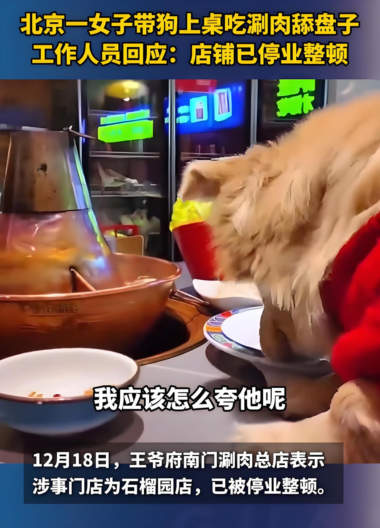 那位带狗进入火锅店的女顾客，这回真的摊上大事了，把人家的店差点整倒闭，店家直接报