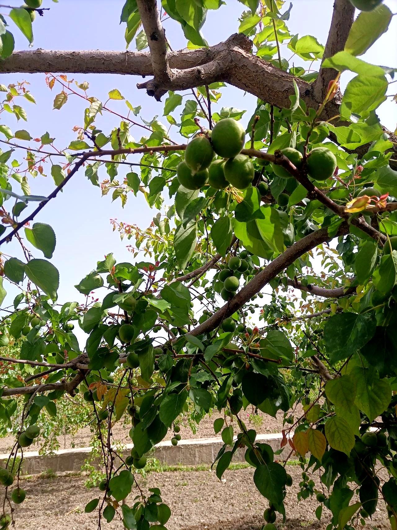 入职那天，女儿被同批的新疆姑娘一句“甘肃很穷”堵住了。
姑娘家在新疆的小县城，不