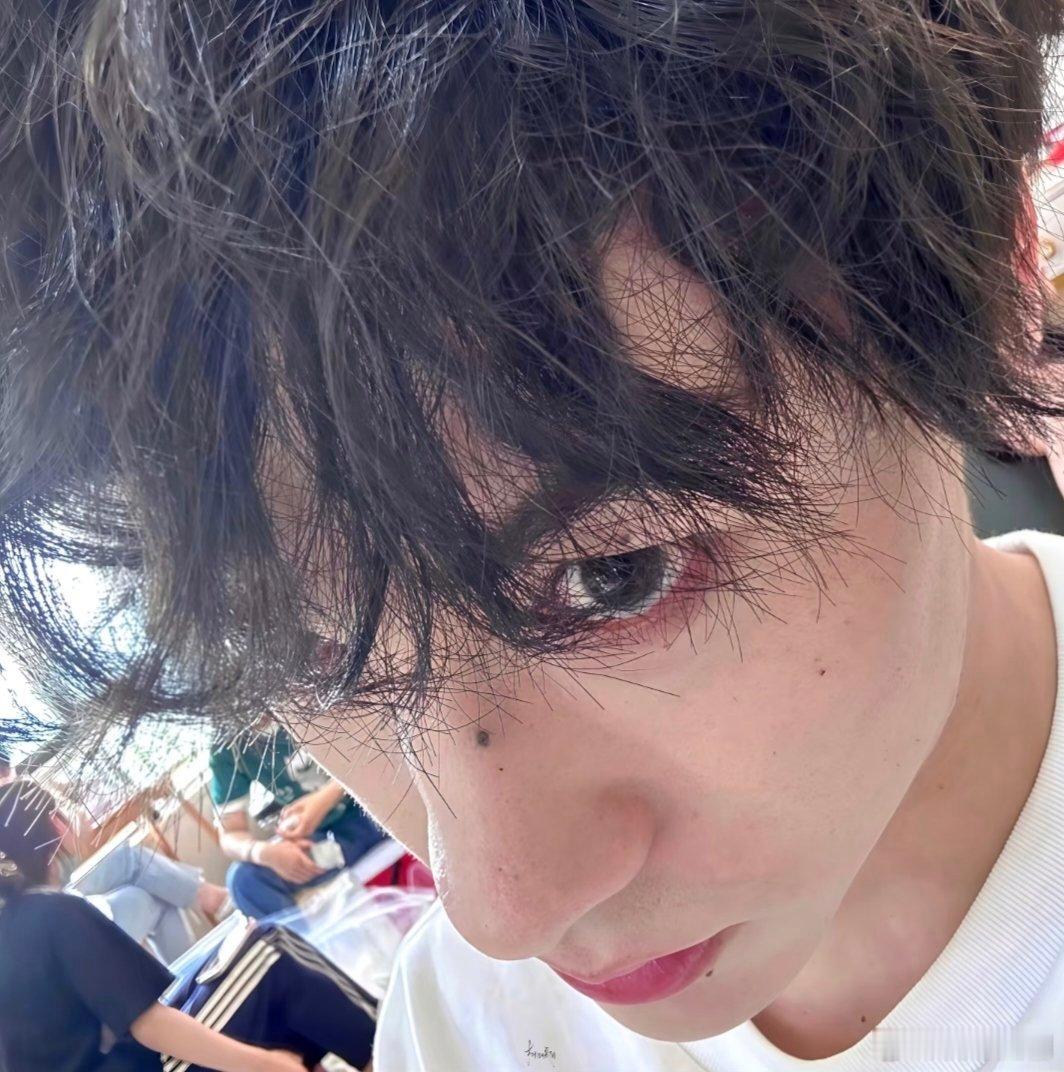 今日份🔹 卷毛之上 