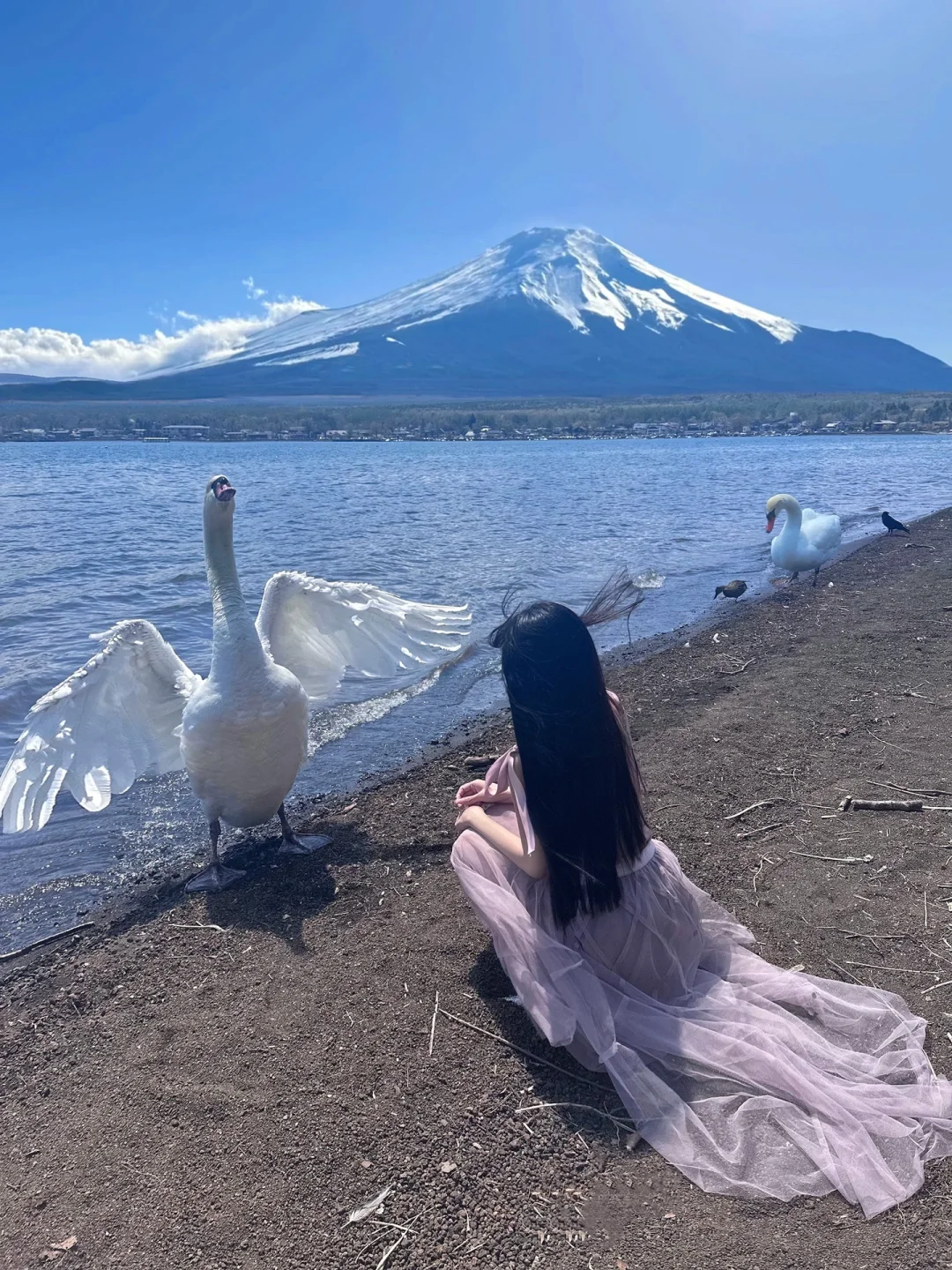 谁能凭爱意要富士山私有