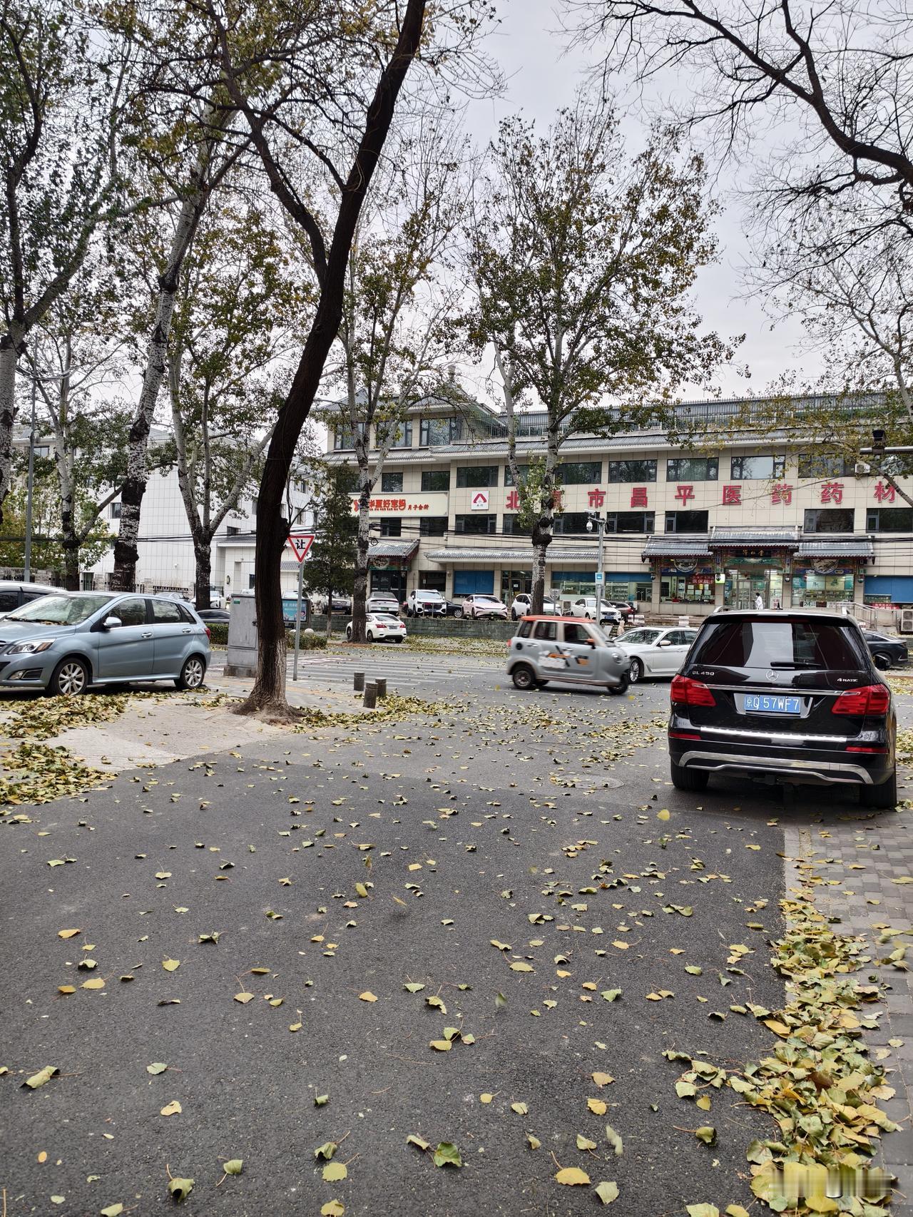 一张图证明冬天来了冬日随手拍