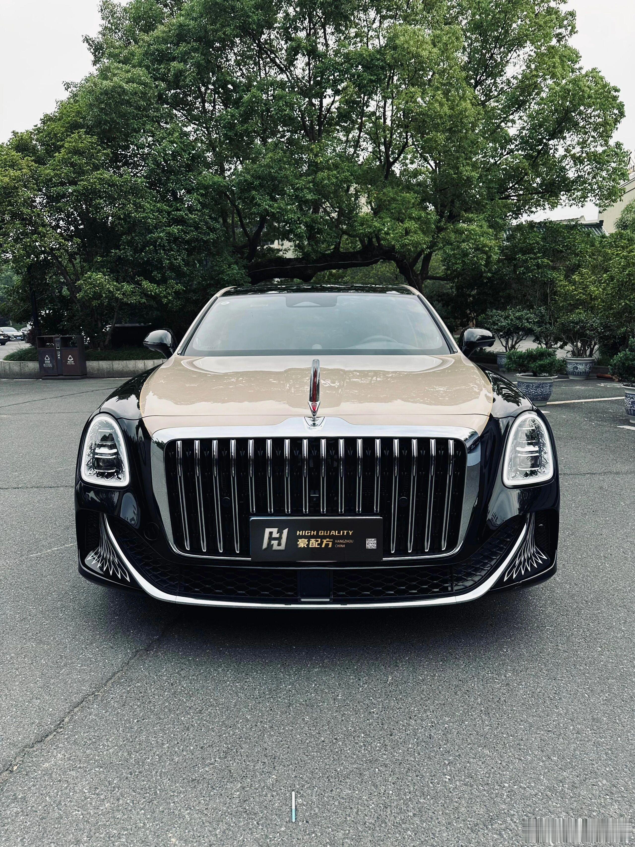 东方美学，时代礼序。红旗国雅以千年匠心雕琢现代风骨，将山水意境凝于车身流转。每一